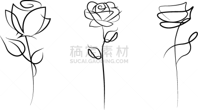 线条,一个物体,三个物体,玫瑰,华丽的,背景分离,复古风格,剪贴画,草图,绘画插图