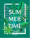 植物群,夏天,鸡尾酒,绿色,背景,干酪藤,壁纸,植物,阿罗哈,复古
