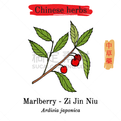 草药,亚洲,有机食品,自然,健康保健,草本,药,家庭