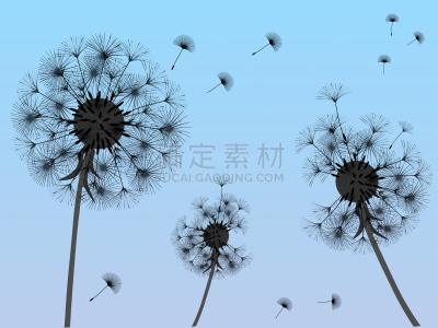 抽象,背景,户外,夏天,白色,绿色,黑色,清新,过敏反应,生长