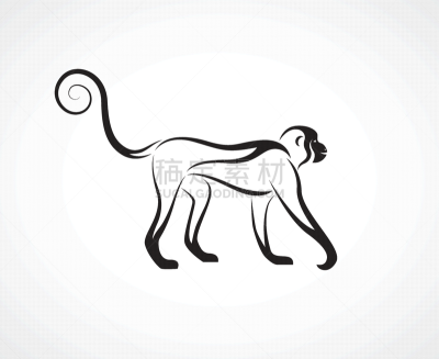 矢量,猿,绘画插图,简单,野外动物,多层效果,白色背景,式样,轮廓,自然