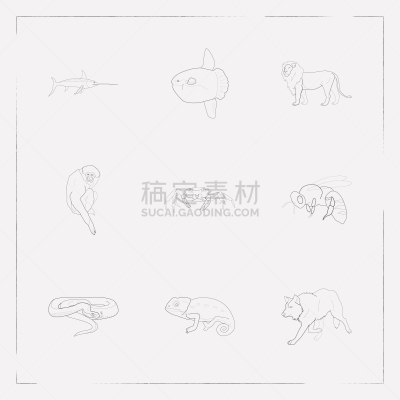 蛇,符号,动物学,线条,猴子,野生动物,食品,狮子,哺乳纲,动物