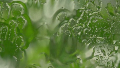 春园透过雨窗模糊了视线。水以慢动作洒在垂直玻璃上。