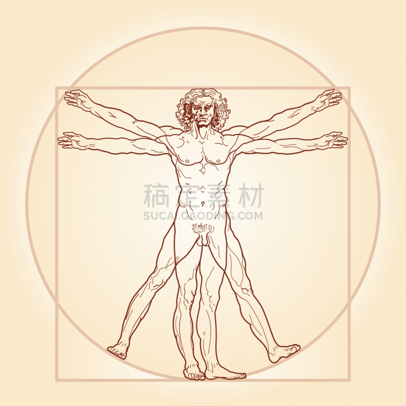 维特鲁威人,黄金分割,达芬奇,生物学,健康保健,名声,比例,手稿,技能,遗传研究