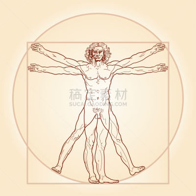 维特鲁威人,黄金分割,达芬奇,生物学,健康保健,名声,比例,手稿,技能,遗传研究