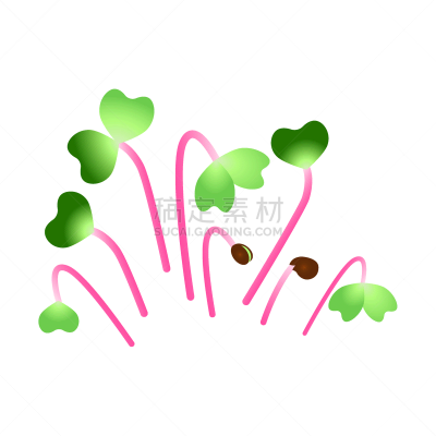 microgreens hong vit radish bunch plants
