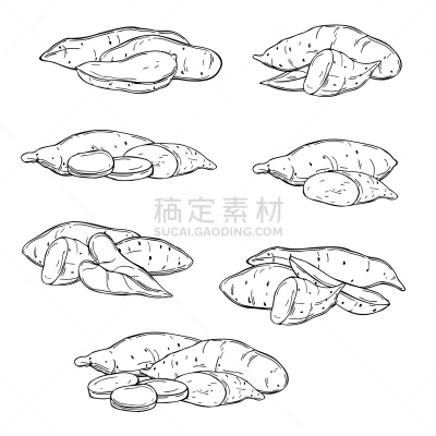 甘薯,草图,绘画插图,手,矢量,绘制