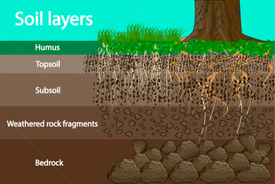 soil layers