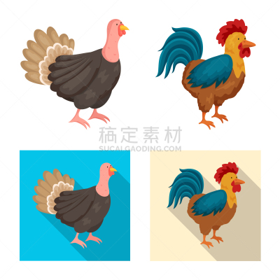 标志,厨房,分离着色,可爱的,农业,有机食品,肉,设计,收集