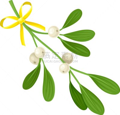 榭寄生,丝绸,嫩枝,浆果,华丽的,请柬,传统节日,装饰物,庆祝,打结