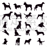 狗,可爱的,纯种犬,德国牧羊犬,灰猎犬,哺乳纲,动物,面部表情,剪影,坐