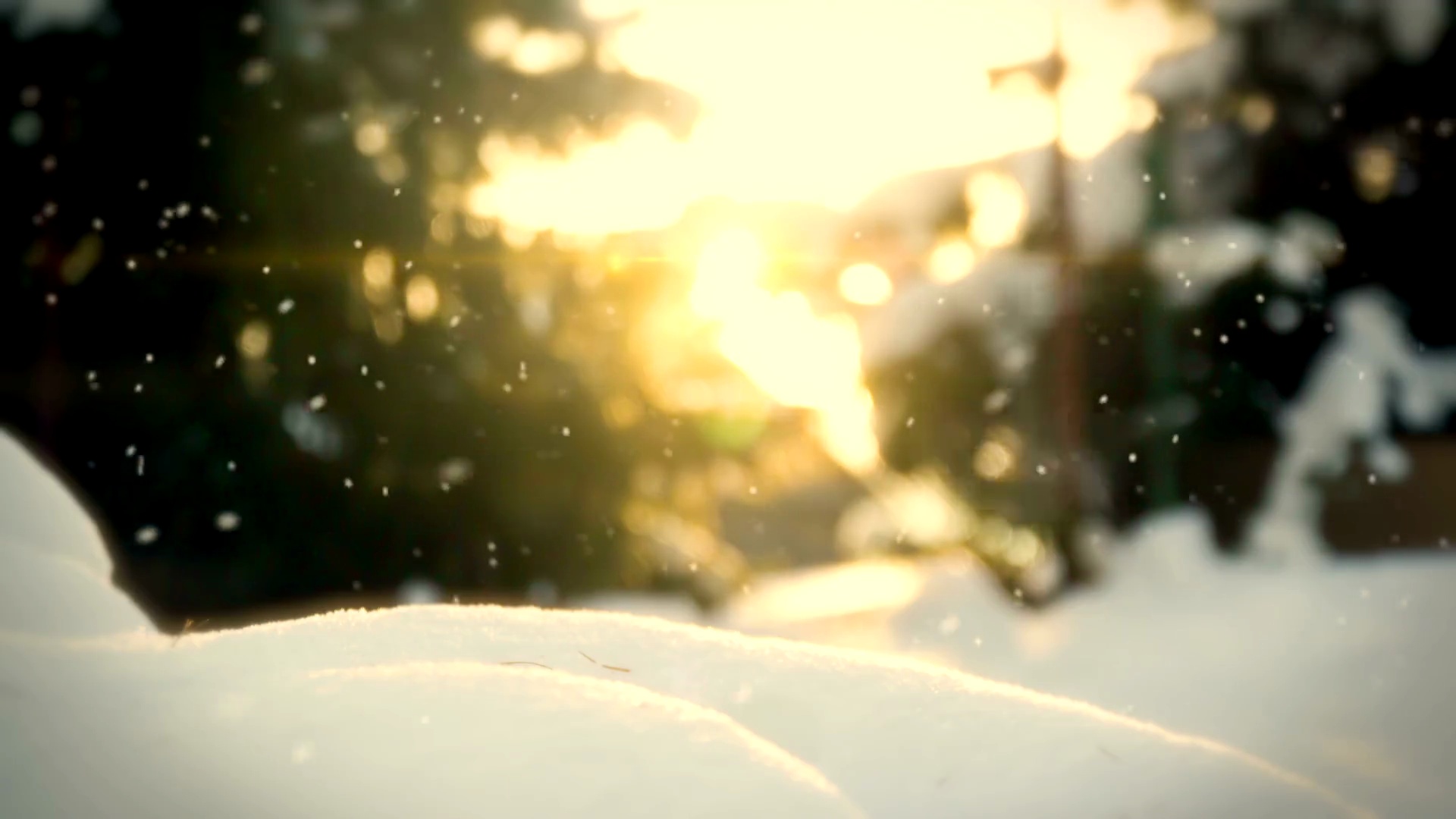 花园环路中的雪