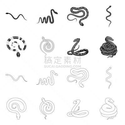 哺乳纲,螺线,蛇,动物,尾巴,爬行纲,珊瑚,蝰蛇,设计