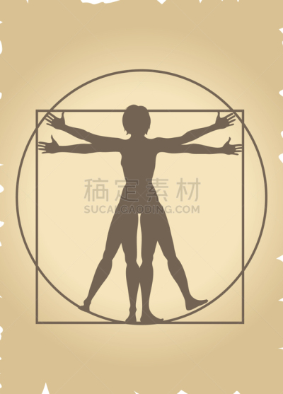 维特鲁威人,女人,矢量,人,比例,图像