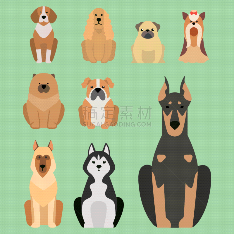 面包,狗,性格,幽默,卡通,可爱的,纯种犬,梗犬,牧羊犬,巴哥犬
