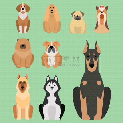 面包,狗,性格,幽默,卡通,可爱的,纯种犬,梗犬,牧羊犬,巴哥犬