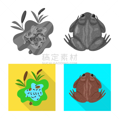 野生动物,藓沼,图标集,青蛙,蛙,人类腺体,灰色,褐色,有毒物质,收集