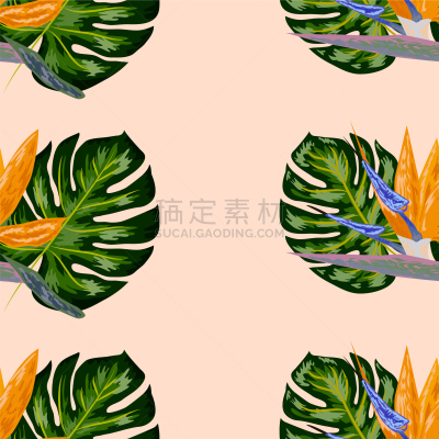 鸡尾酒,花朵,天堂鸟花,式样,纺织品,浪漫,壁纸,自然美,春天,复古