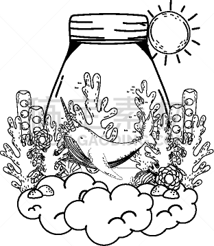 可爱的,密封的,自然,飘然,野生动物,锅,图像,一角鲸,海洋,鲸