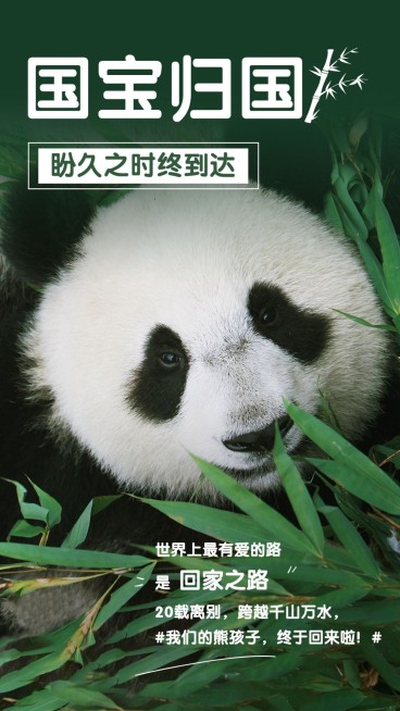 热点大熊猫丫丫回国竖版海报公众号套装预览效果