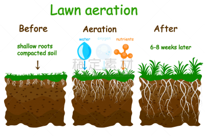 lawn aeration stage
