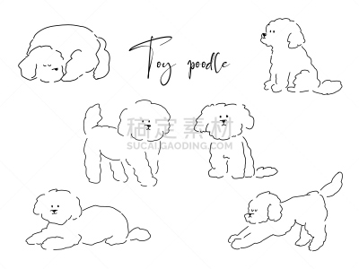 玩具贵宾犬,水笔,宠物,图像,狗,小型贵宾犬,动物,无人,黑白图片,矢量