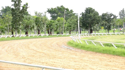 赛马在田野里。