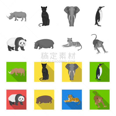河马,熊猫,野外动物,虎,猴子,残酷的,象,哺乳纲,猕猴,动物