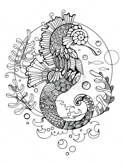 海马,成年的,彩色书,书,华丽的,自然,缠结的,海洋