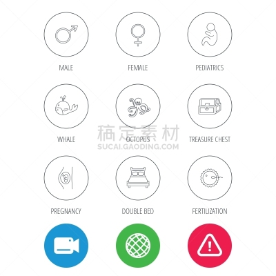 儿科医师,家庭,图像,海洋,人工授精,鲸,百宝箱,分娩