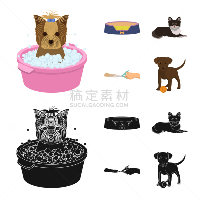 宠物,爪,兽医,分离着色,镊子,图像,座位,门诊部,狗,收集