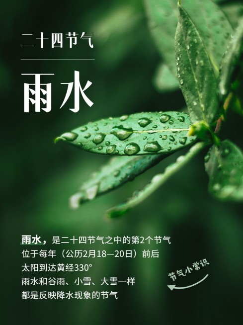 雨水节气科普小红书配图预览效果