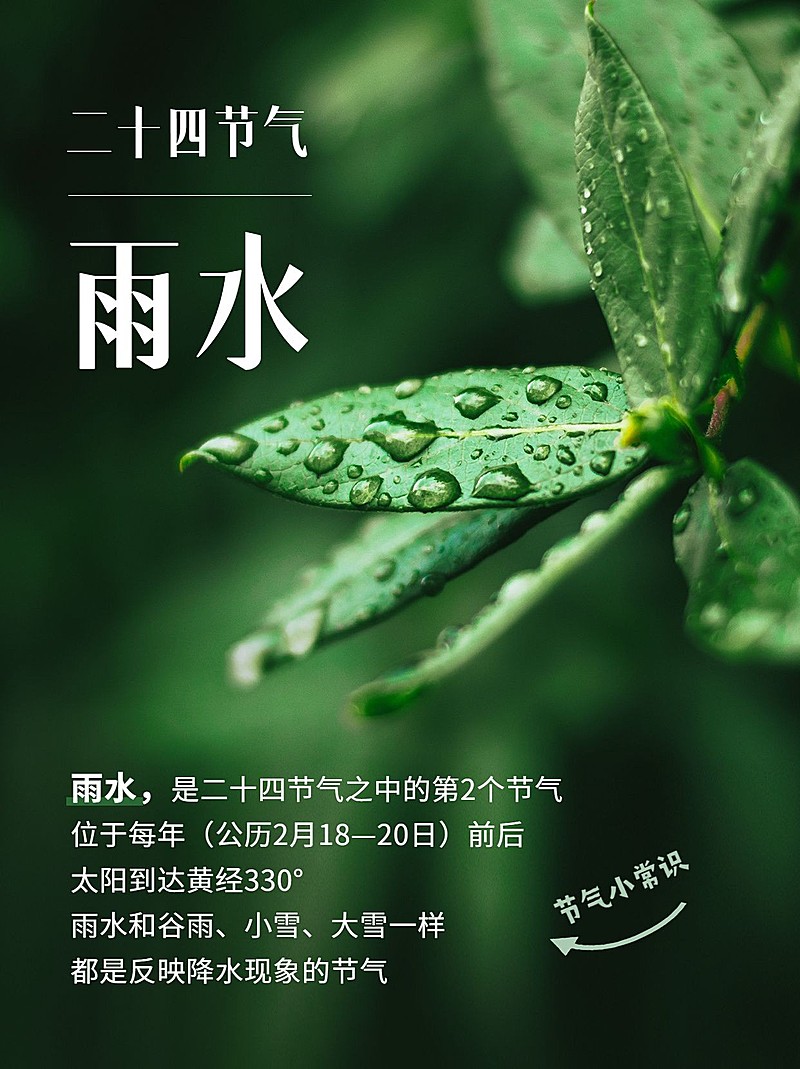 雨水节气科普小红书配图