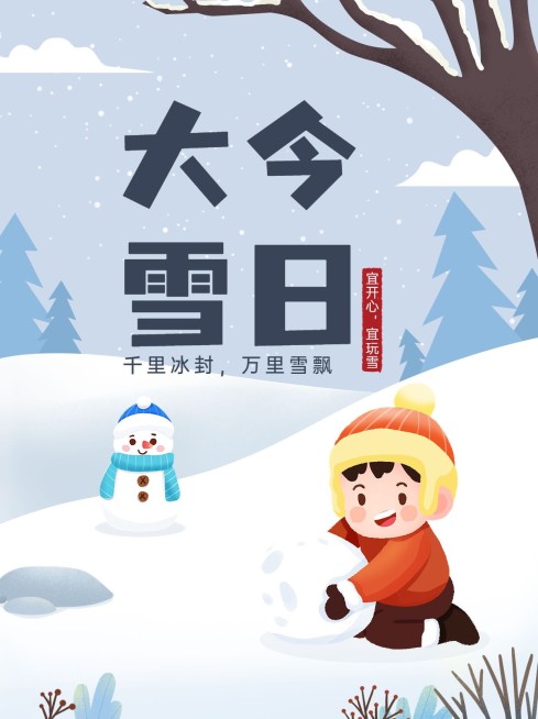 大雪节气祝福手绘插画小红书配图预览效果