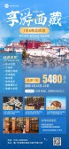 模板缩略图