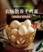 模板缩略图