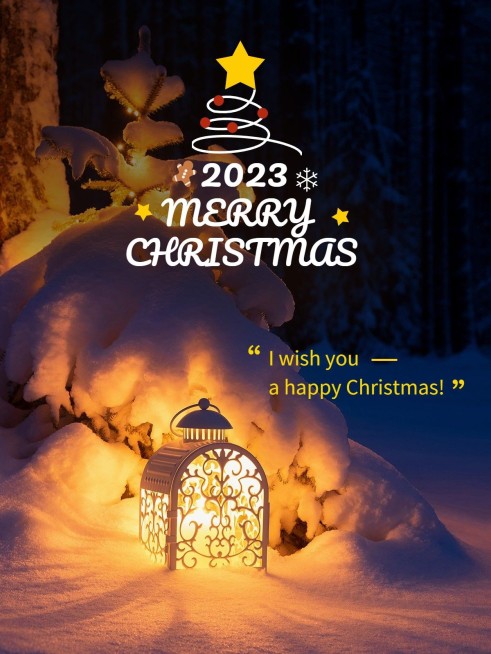 圣诞节趣味晒照小红书PLOG预览效果