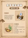 小红书养生模板