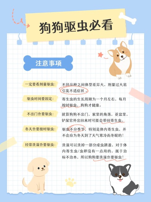 宠物知识科普手帐风小红书配图预览效果