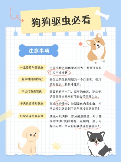 宠物知识科普手帐风小红书配图