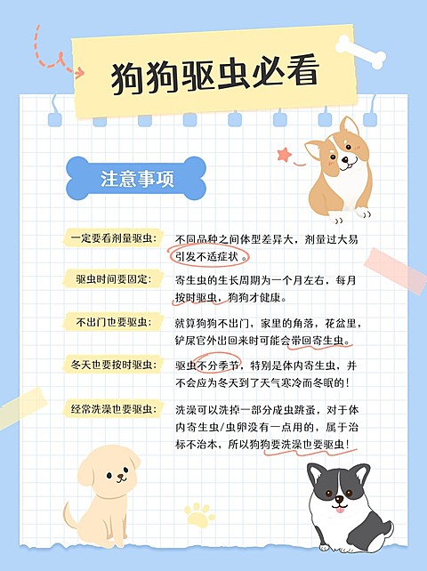 宠物知识科普手帐风小红书配图
