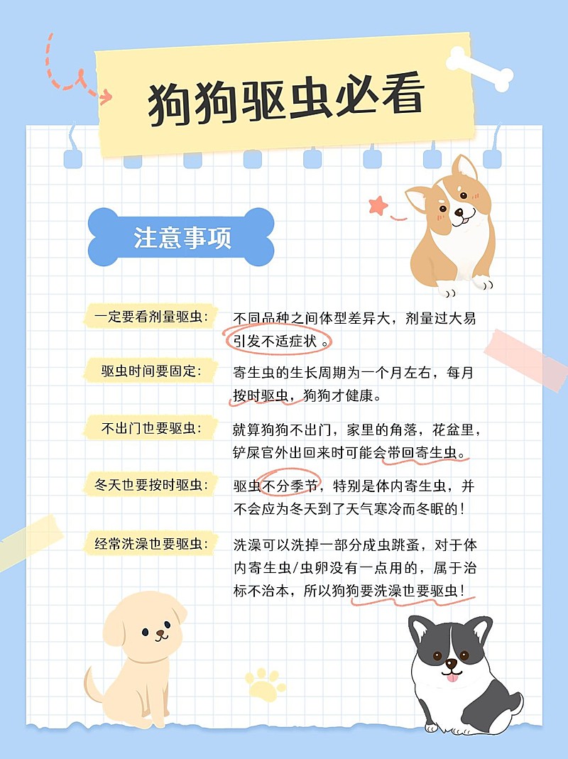 宠物知识科普手帐风小红书配图
