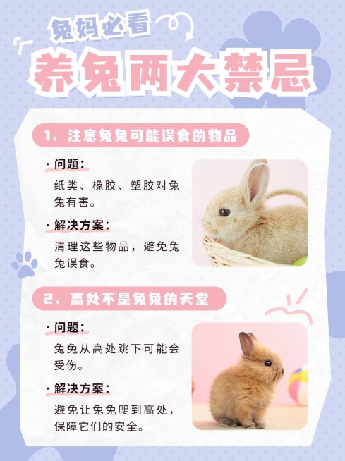 宠物知识科普小红书配图预览效果