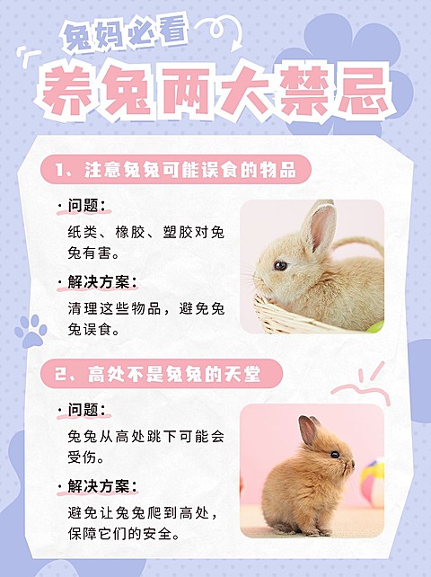 宠物知识科普小红书配图