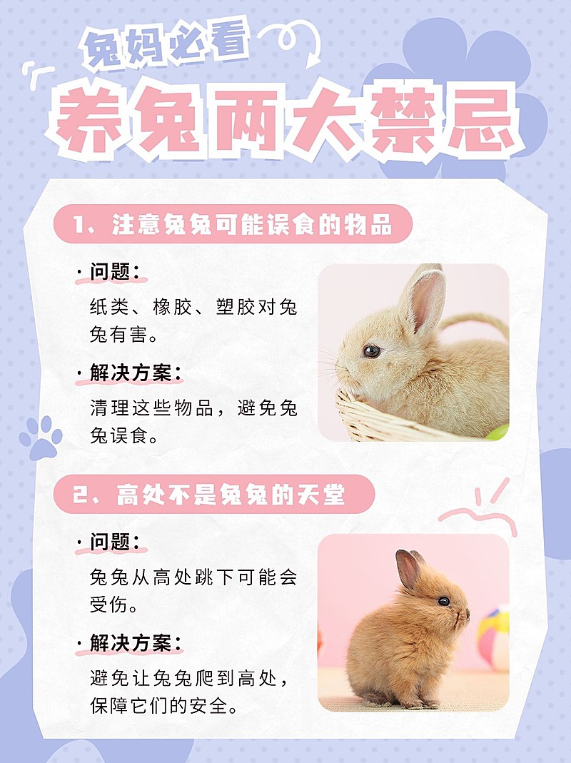 宠物知识科普小红书配图