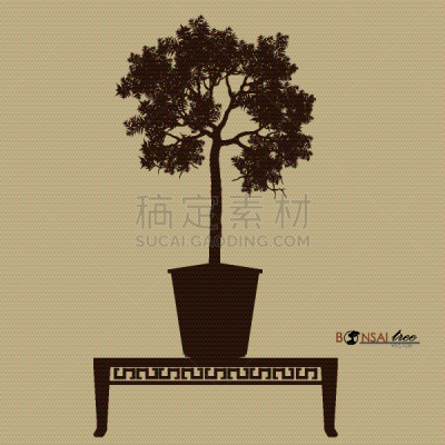 盆景,图像,华丽的,传统,复叶,蔬菜,自然美,植物,剪影