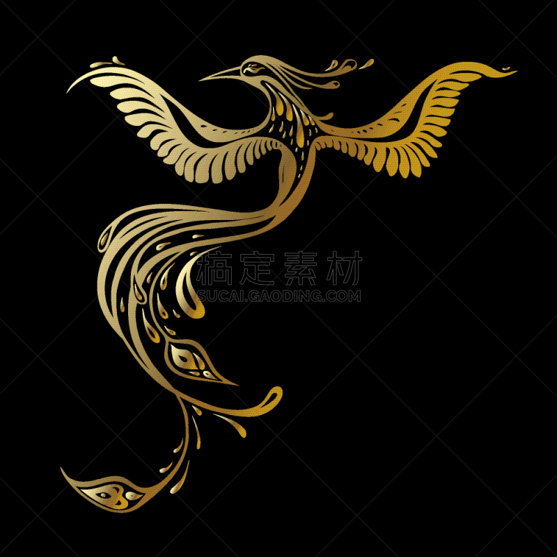 自然美,孔雀,热带鸟,华丽的,大鹏金翅鸟迦楼罗,动物,鸟类,装饰物,着色