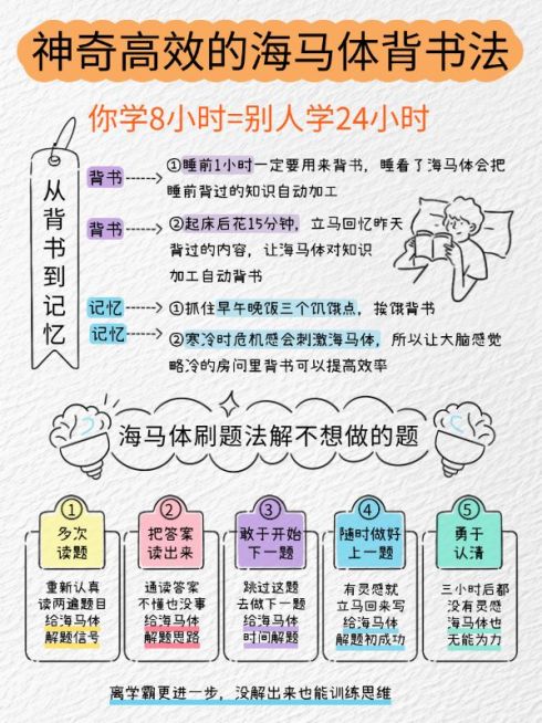 教育学习法攻略分享划重点小红书配图预览效果