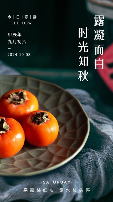 寒露节气祝福借物祝福柿子寓意实景预览效果
