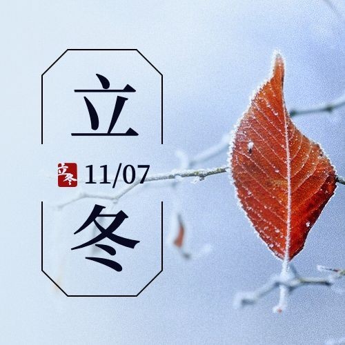 立冬节气树枝落雪特写祝福公众号次图预览效果